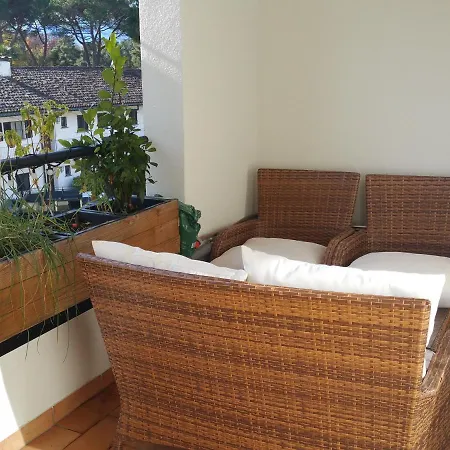 Apartment Ascona: La Quercia A1 *