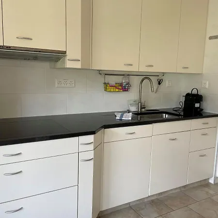 Ascona: La Quercia A1 Apartment Ascona